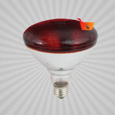 Infra Red Light