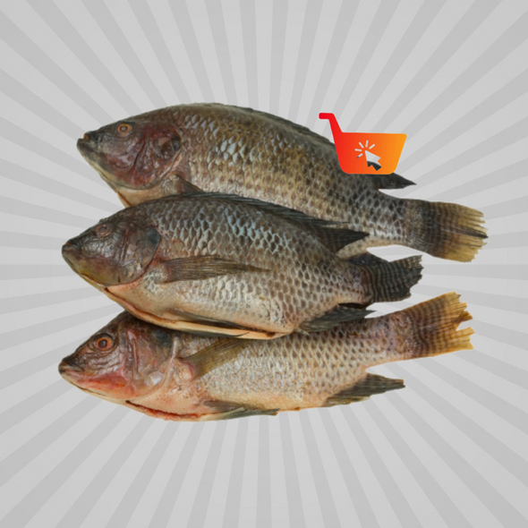 Kariba Bream 1kg