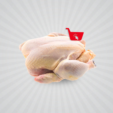 Frozen Full Chicken-OneClick Supplies