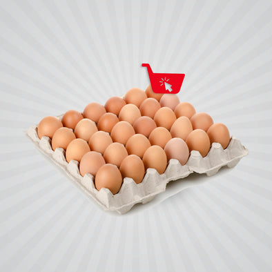 Tray of Eggs-OneClick Supplies