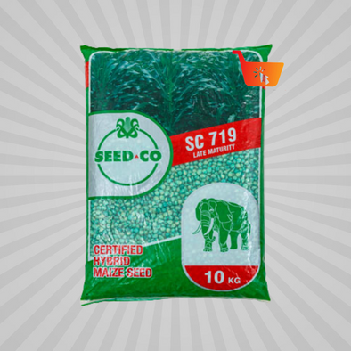 Seedco Maize Seed SC719 25kg